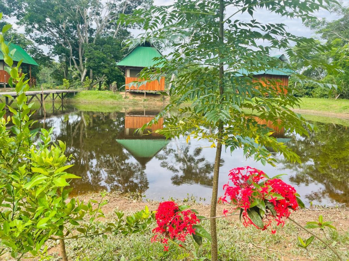 Sunrise Of Tambopata Villa Puerto Maldonado Eksteriør billede