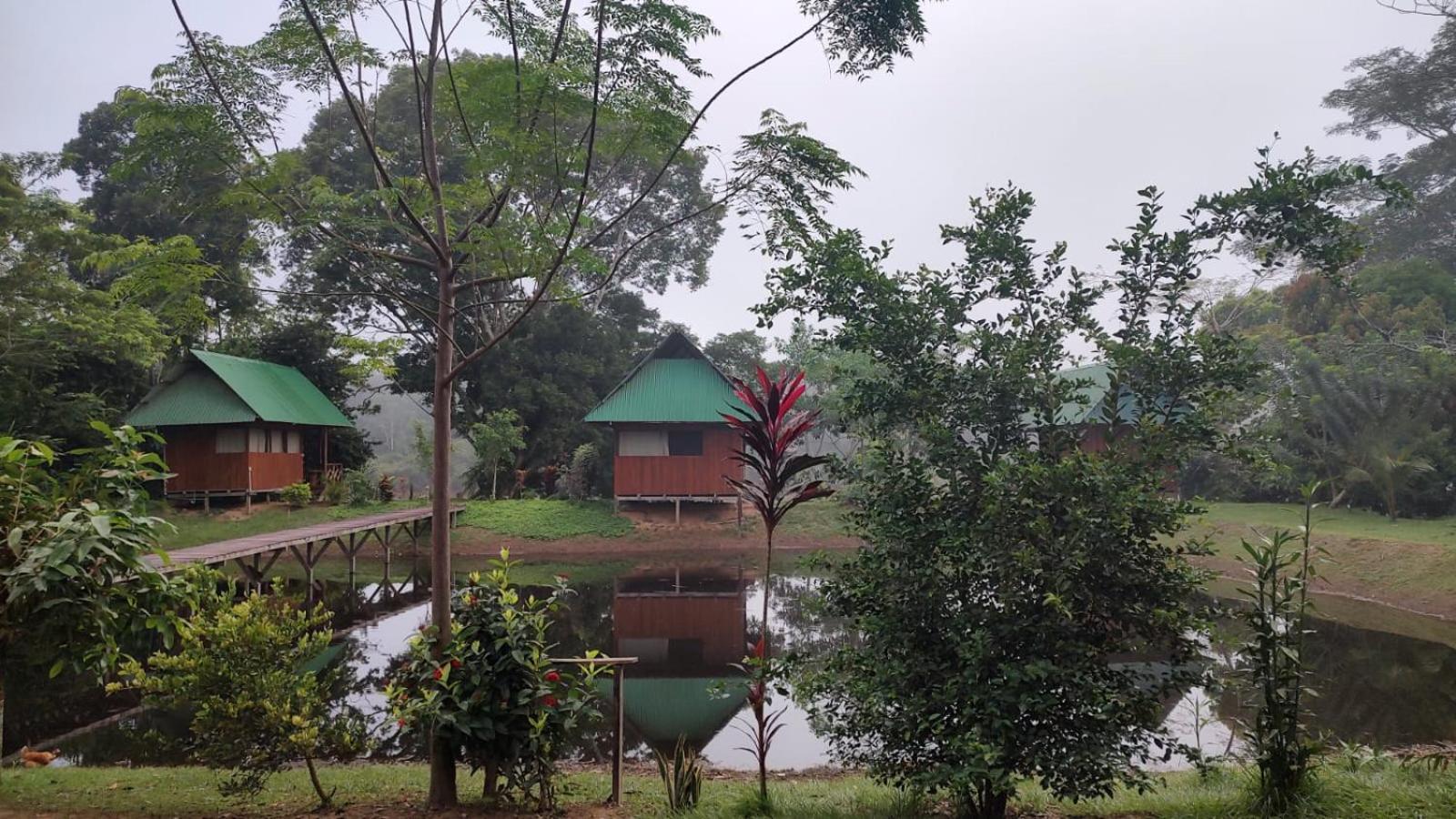 Sunrise Of Tambopata Villa Puerto Maldonado Eksteriør billede